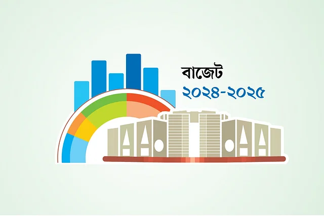 ভাই–বোন, শ্যালক–শ্যালিকাকে পাঠানো প্রবাসী আয়েও কর