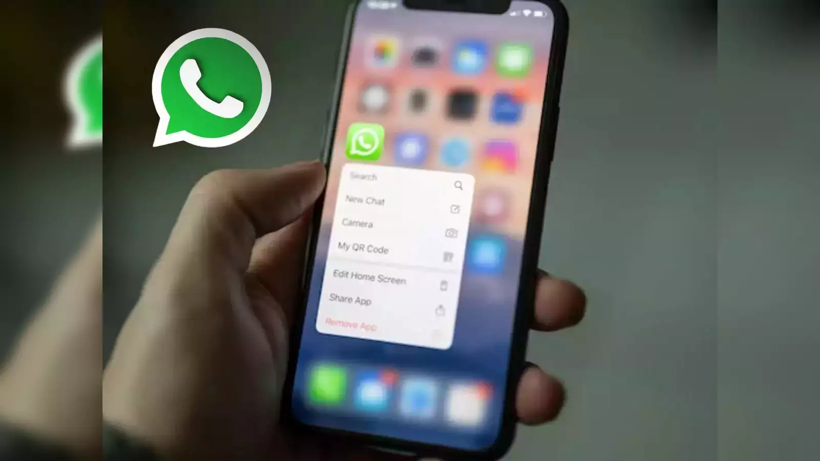 হোয়াটসঅ্যাপে নতুন ফিচার, মাতৃভাষাতেই পড়া যাবে মেসেজ