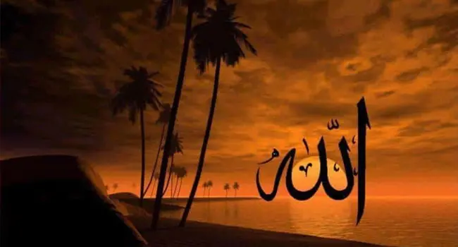 তওবায় মেলে আল্লাহর নেয়ামত ও সন্তুষ্টি