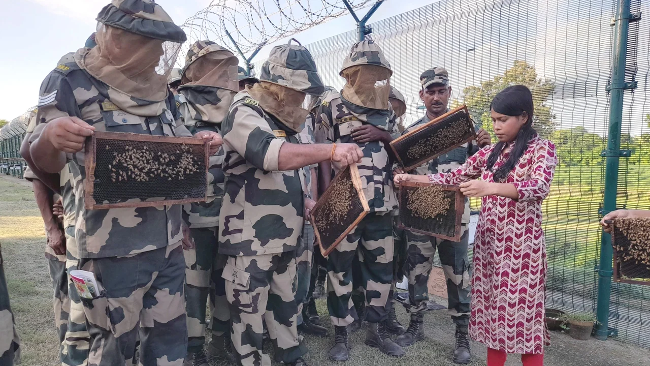 Bsf 20240909165754