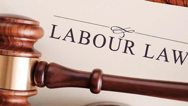 Labour law 1725606114