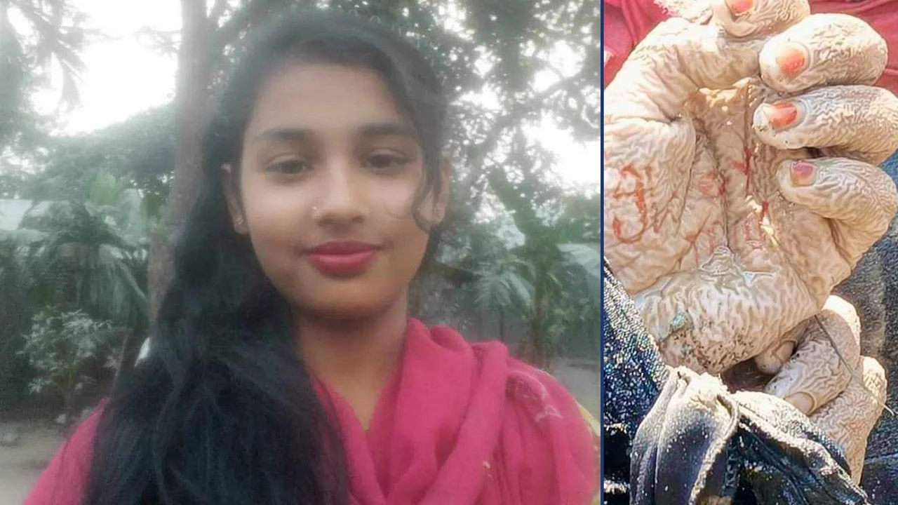 Nilphamari 20240927141208