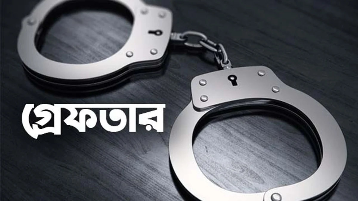 ফেসবুকে সরকারবিরোধী অপপ্রচার, আ.লীগের ৯ নেতাকর্মী গ্রেফতার