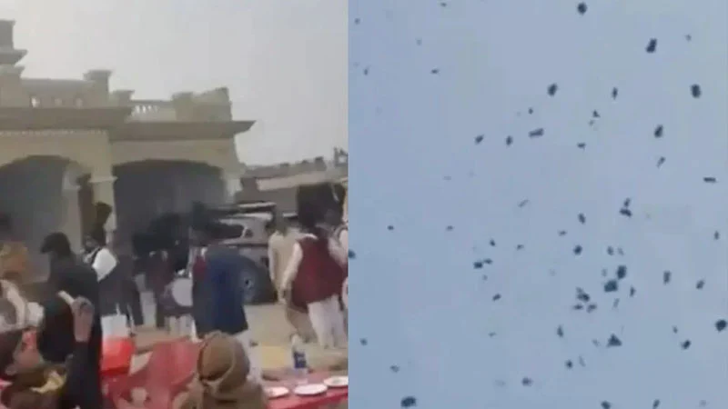 বিমান থেকে টাকার বৃষ্টি, বিয়ের আয়োজন নিয়ে সমালোচনার ঝড়!