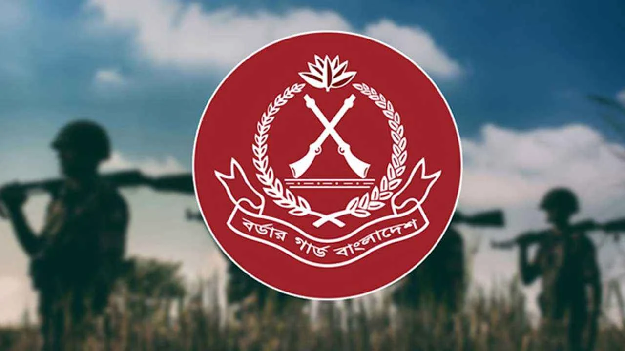 বিজিবি