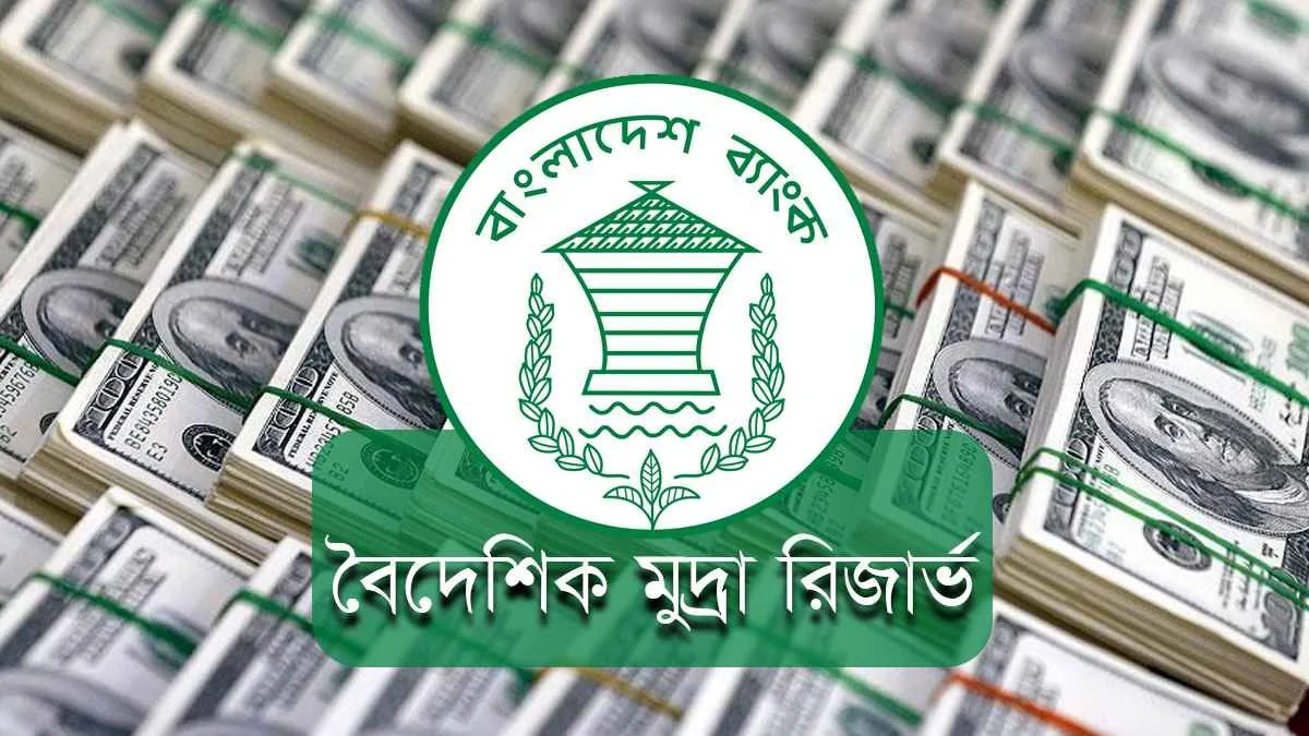 দেশে বৈদেশিক মুদ্রার রিজার্ভ ২৪ বিলিয়ন ডলার ছাড়ালো