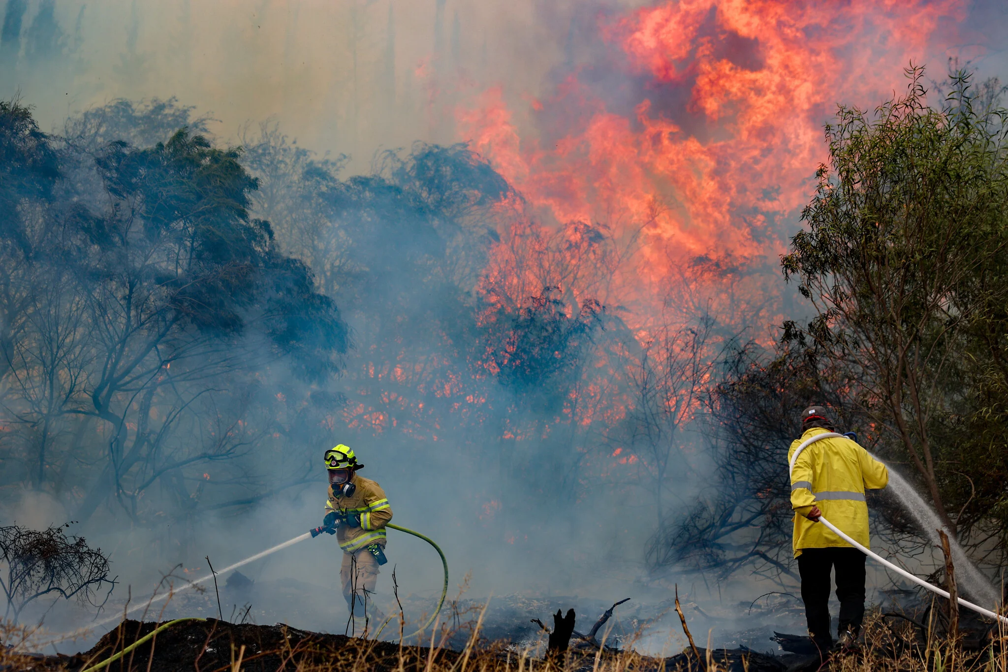 Israel declares state of emergency as wildfires rage