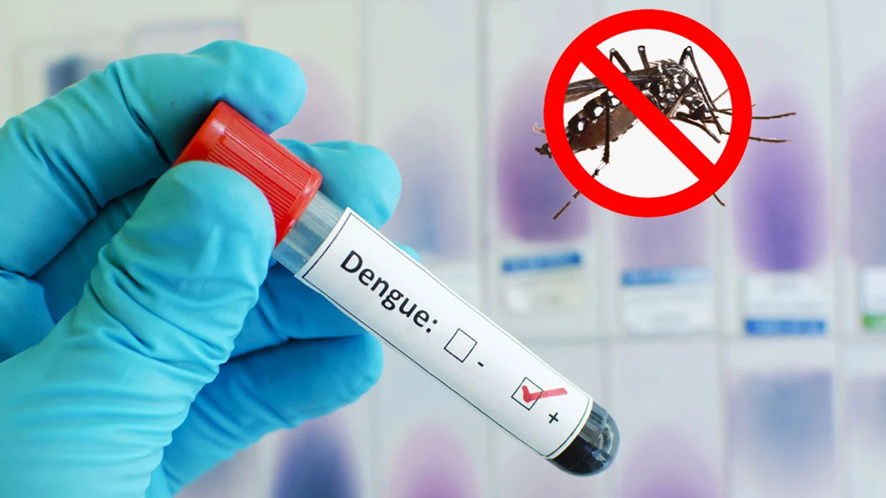 288 people diagnosed with dengue across the country in a single day