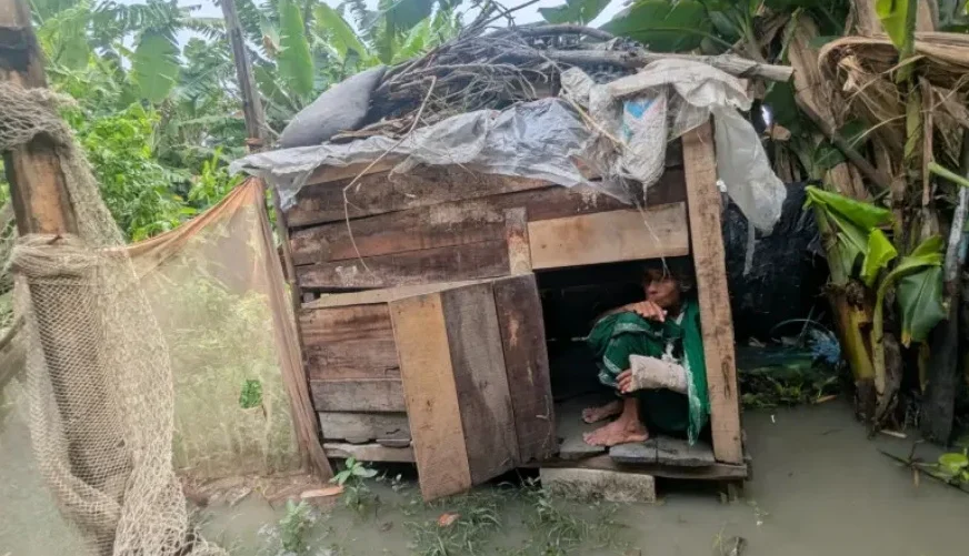 Centenarian mother finds shelter in chicken coop