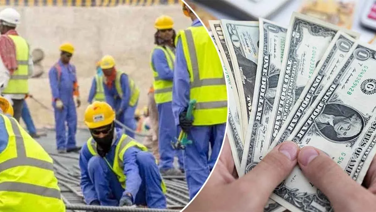 Saudi expatriates top remittance senders