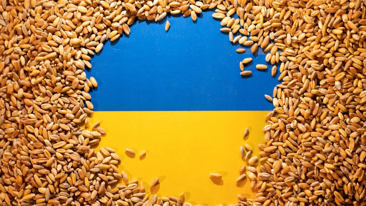 Ukraine seeks sanctions against bangladeshi firm for buying 'illegal wheat'