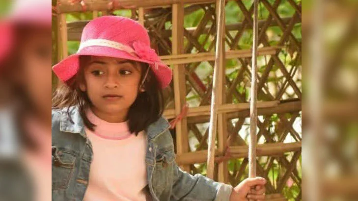 Expatriate's daughter killed in fighter jet crash in dhaka