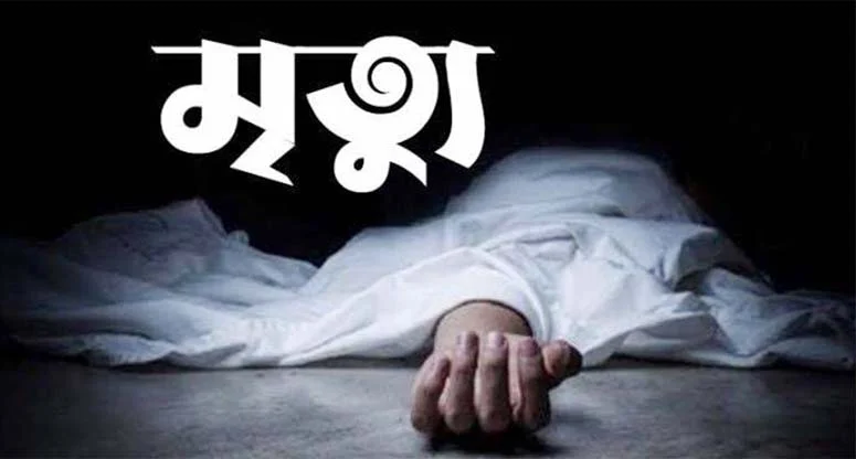 ছেলের লাঠির আঘাতে বাবার মৃত্যু