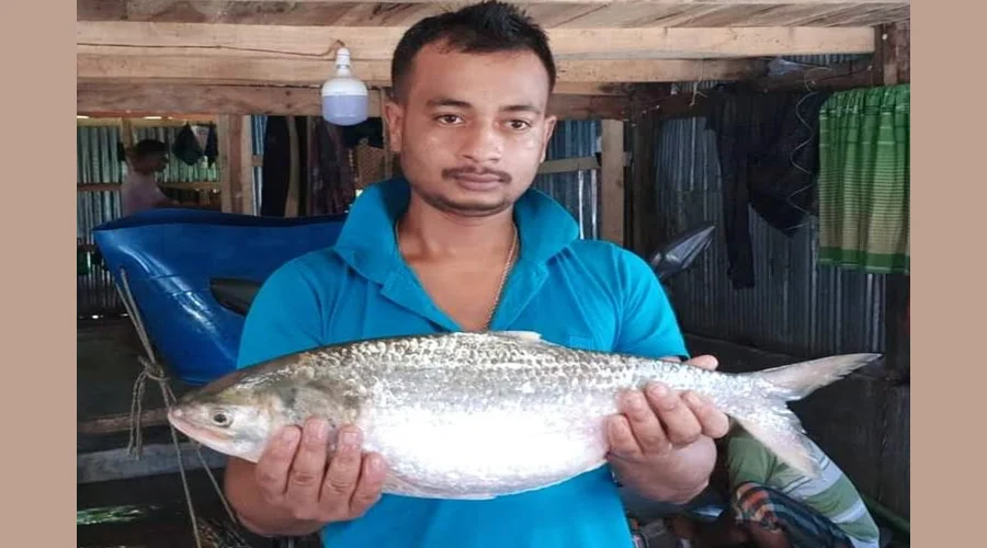 ৭ হাজারে বিক্রি একটি ইলিশ!