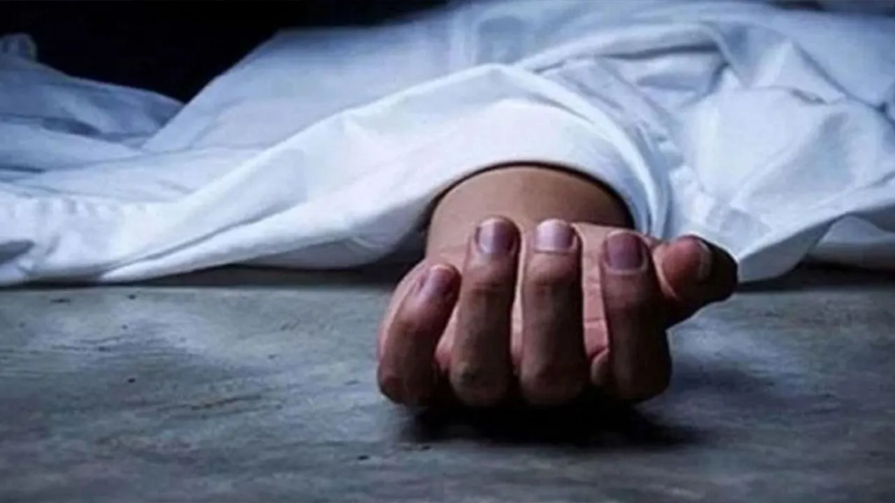 স্বামীকে বিমানবন্দরে আনতে না যাওয়ায় স্ত্রীর আত্মহত্যা
