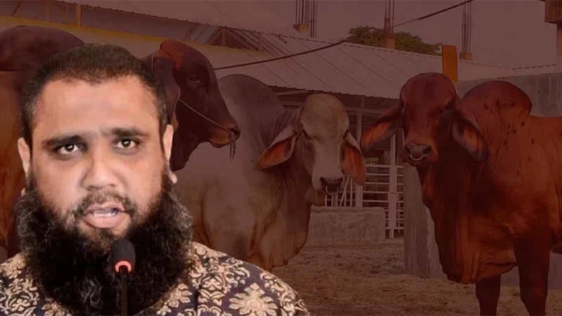 অবশেষে সাদিক অ্যাগ্রোর চেয়ারম্যান গ্রেপ্তার
