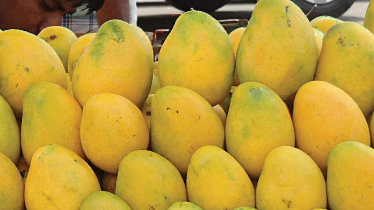 কাতারে অনুষ্ঠিত হতে যাচ্ছে বাংলাদেশি আম উৎসব