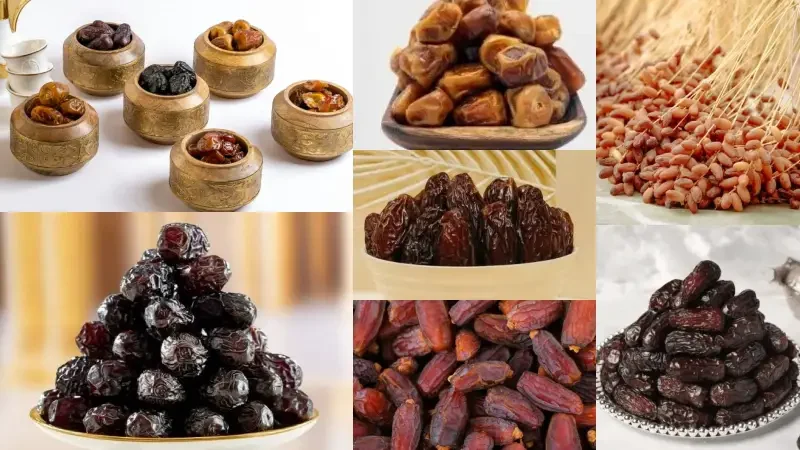 বিশ্বের সবচেয়ে দামী ১১ টি খেজুর